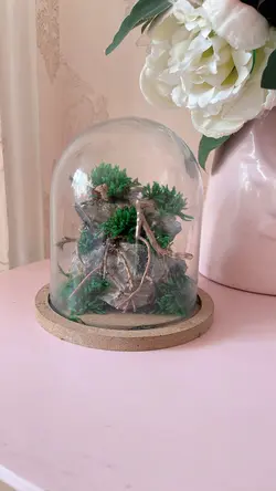 تراریوم درخچه جاودان