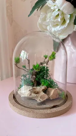 تراریوم درخچه جاودان