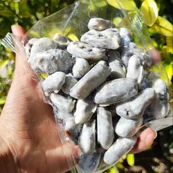 خرما شکلاتی با طعم عالیه شیری موزی (300) گرمی