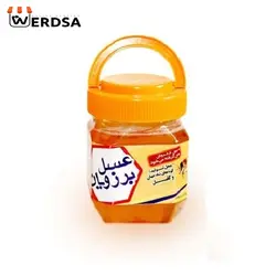 عسل خارشتر 2 کیلویی موم دار