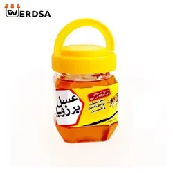 عسل گون 2 کیلویی خام