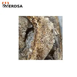 خرید عسل کنار 2 کیلویی وحشی