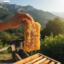 عسل چند گیاه 1 کیلویی موم دار