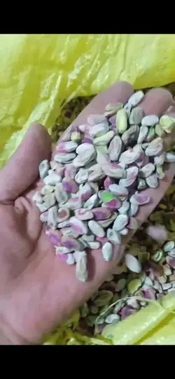 قاووت باطعم خشخاش ۱کیلوگرمی بسیار مقوی