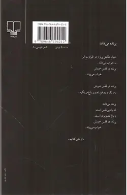 آینه-در-آینه--ه-ا-سایه-