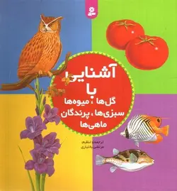 آشنایی-با-گل-ها-میوه-ها-سبزی-ها-پرندگان-ماهی-ها