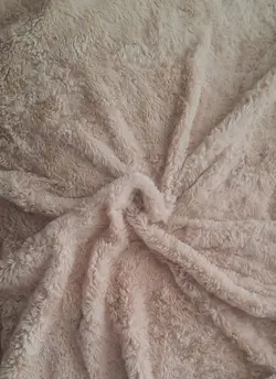 تدی خرگوشی(خرده)