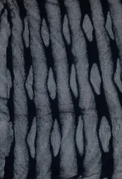 تدی خرگوشی(خرده)