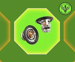 ترموستات ام وی ام 110