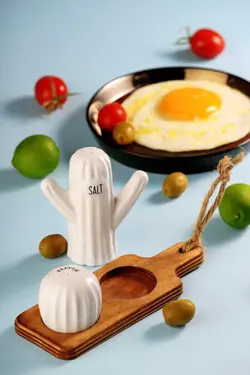 ست نمکدان کاکتوس دو عددی