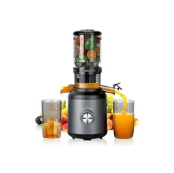 آبمیوه گیری 250 واتی آهسته گیر ایمن GREEN LION - فروشگاه اینترنتی آر پی جی کالا | RPG Kala