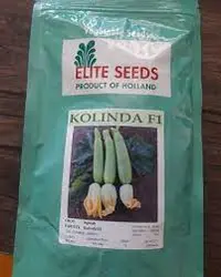 بذر کدو الیت