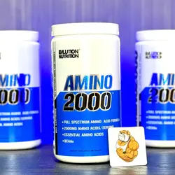 آمینو 480 تایی 2000 ای وی ال evl