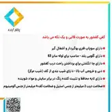 کفشور سارا نیک مدل TD404 GM سایز7X60 طلا مات