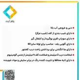 کفشور سارا نیک مدل TDA GM سایز 7X30 طلامات