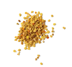 بی پولن (گرده زنبور عسل) | Bee Pollen