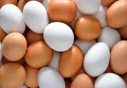خواص و مضرات تخم مرغ چیست؟ | فروشگاه آنلاین چندمنظوره