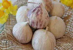 خواص موسیر | فروشگاه آنلاین چندمنظوره