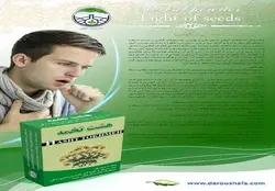 هشت تخمه گیاهی