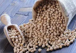 نخود کرمانشاه اعلاء بومی صادراتی