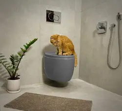 والهنگ ادیسا طوسی روسی (Rosi) درجه یک - چینی بهداشتی عاشوری