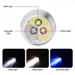چراغ قوه یووی UV رویلانگ