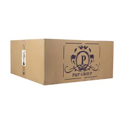 آباژور رومیزی پی اند پی گروپ مدل BT3005 - فروشگاه والتر