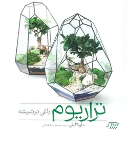 تراریوم باغی در شیشه - گلاسه