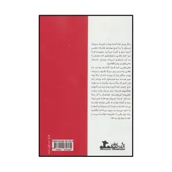 کتاب ماهی های زیر پل اثر گلپر فصاحت انتشارات پرسمان