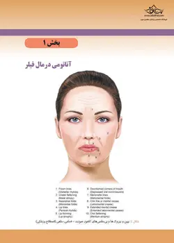 راهنمای عملی روش های فیلر پوست - نوابوک