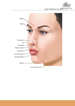 راهنمای عملی روش های فیلر پوست - نوابوک
