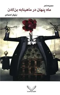 ماه پنهان در ماهیتابه بن لادن