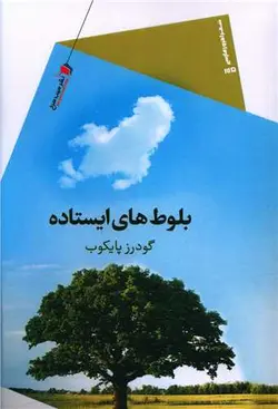 بلوط های ایستاده