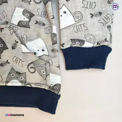 هودی گربه و ماهی نیک