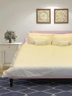مقمیس ست روتختی و روبالشی meghmiss bedding set,model:royal