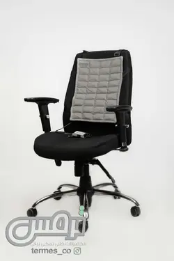 پشتی صندلی ترمس