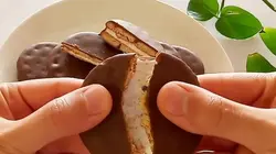 بیسکویت اورین شوکوپای تکی