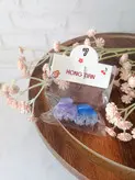مینی کلیپس طرح پاپیون وارداتی پک2عددی