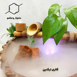 آبنمای رومیزی طرح درخت سرو(تنه ی درخت) - گالری لیگنین آبنمای خانگی فنگشویی طرح تنه ی درخت