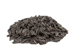 تخمه آفتابگردان اعلا | لیست قیمت و خرید تخمه آفتابگردان