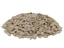 تخمه کدو گوشتی اعلا | خرید تخمه کدو گوشتی با بهترین کیفیت