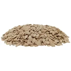 خرید تخمه کدو گوشتی کم نمک | تخمه کدو گوشتی لوکس کم نمک