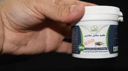 طعمه مگس نگارین