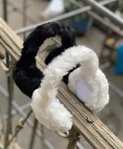 گوشبند بزرگسال تاشو