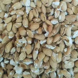 بادام پوست کاغذی (منقا) یک کیلو