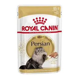 پوچ پرشین - پت شاپ حامی پت