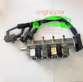ریل سوخت پاش سی ان جی CNG جایگزین کروز وسام همراه با کابل