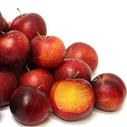 نهال آلو شابلون موریتانی