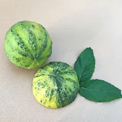 نهال نارنج ابلق