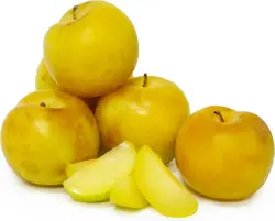 نهال آلو‌ی قطره طلا